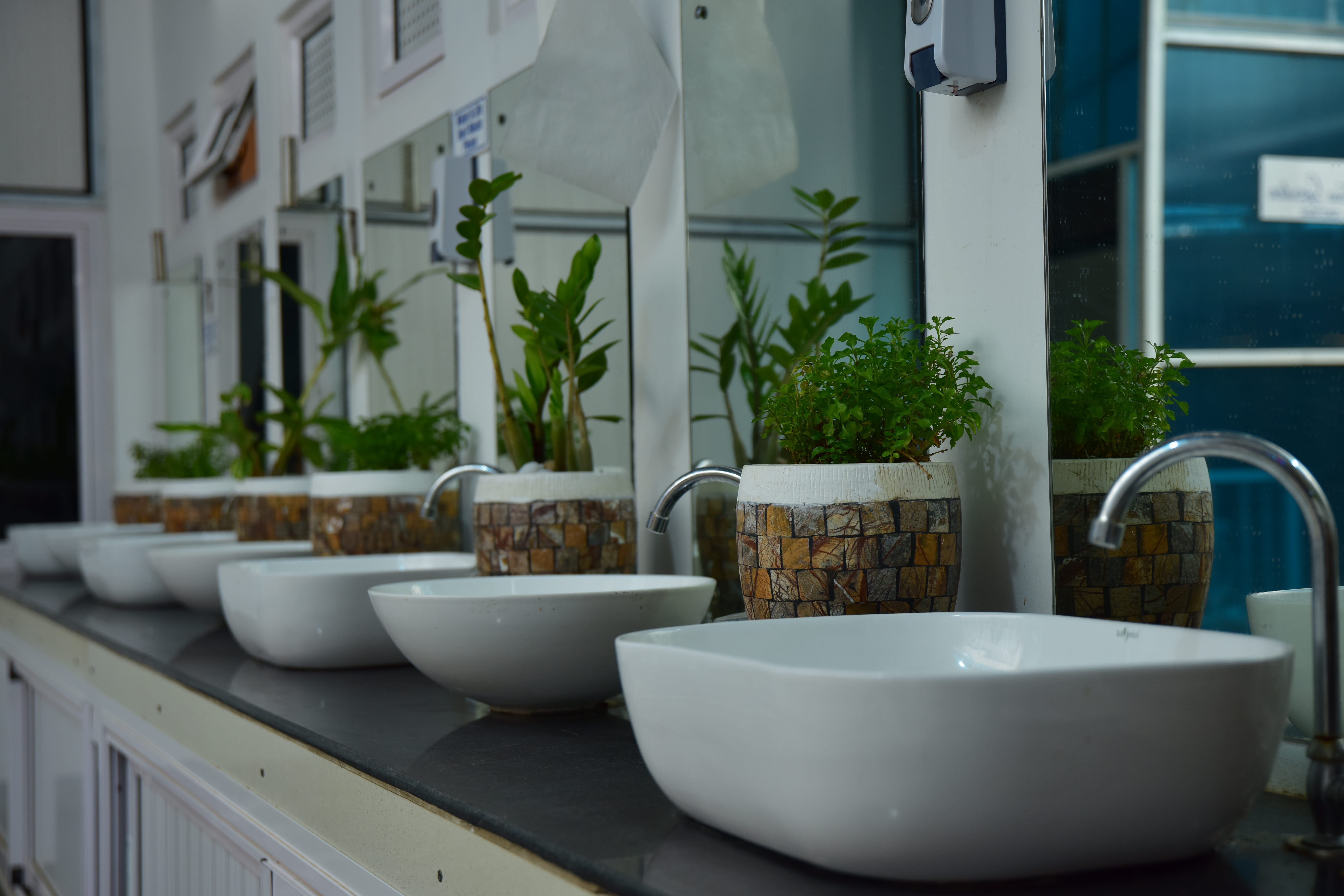 Island View Garden Gallery 1